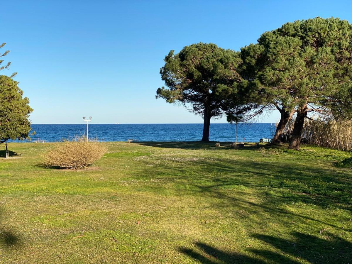 Residence Santa Lucia, Studio Avec Piscine , Vue Mer Et Pied Dans L'Eau , Moriani-Plage מראה חיצוני תמונה